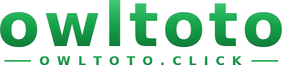 owltoto logo